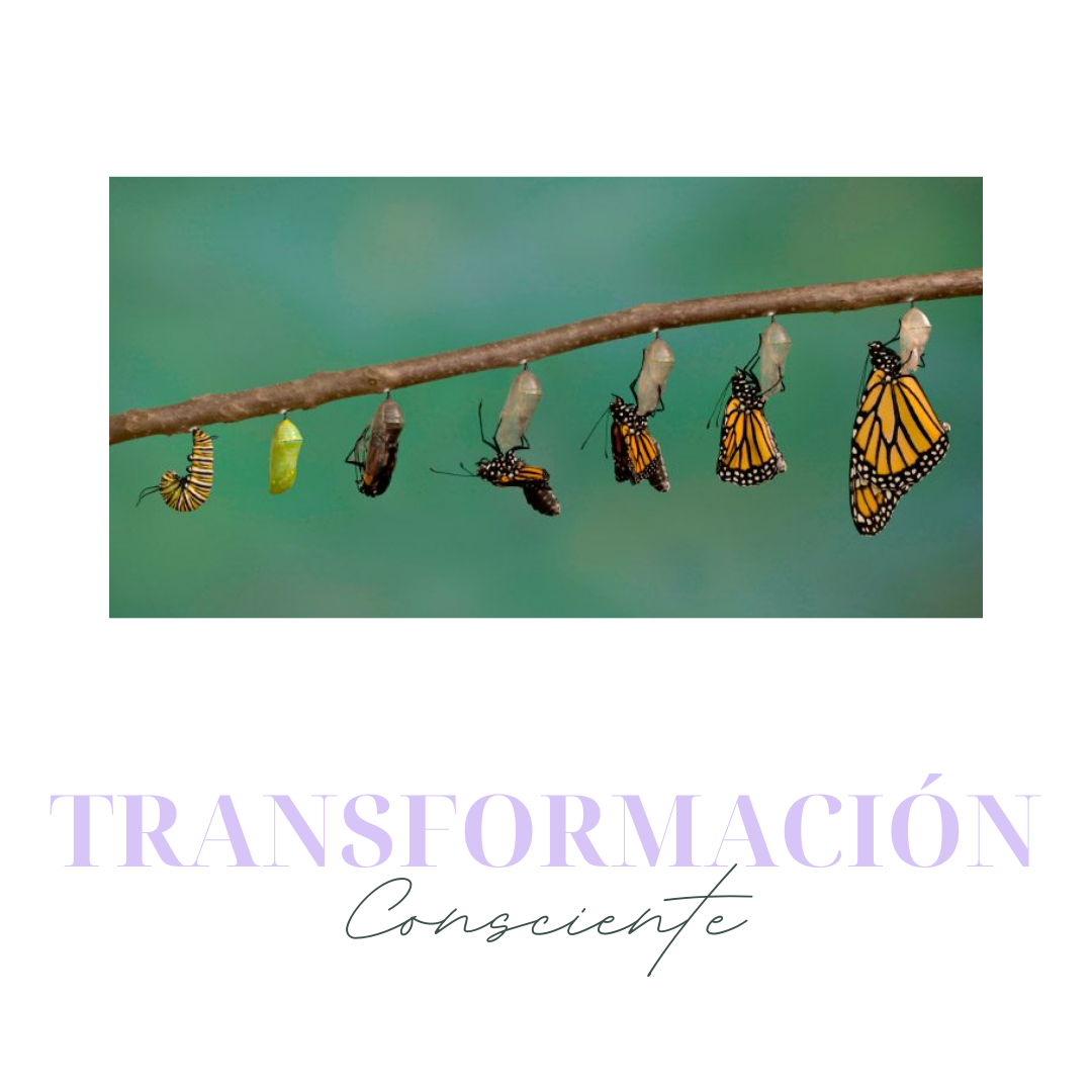 Transformación Consciente